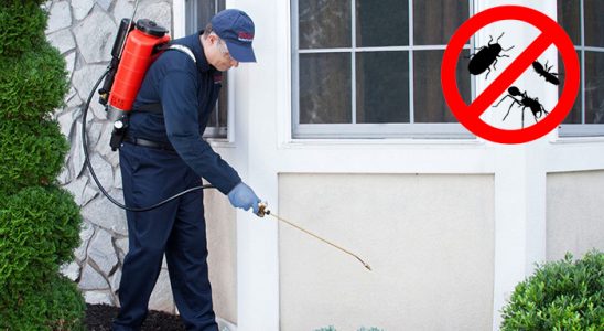 Şenpazar Karınca İlaçlama böcek ilaçlama ve haşere kontrolü — ilaclama-tr.com